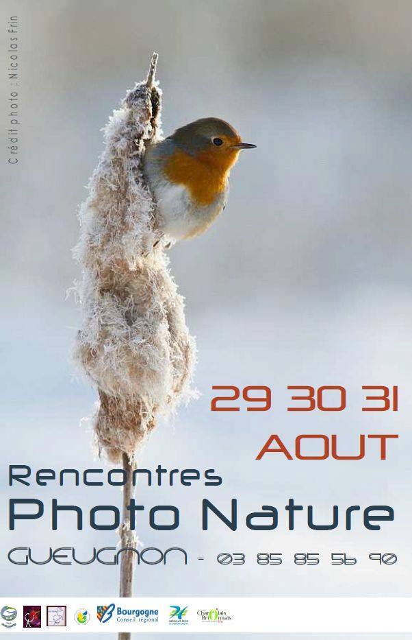 Rencontres Photo Nature Gueugnon 2014