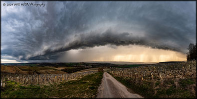 2 Mars 2024 - Chablis (89)