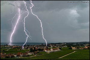 8 Août 2018 - Mont-sur-Rolle (Suisse)